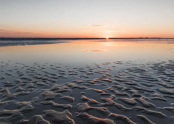 Cosy Casa Vakantiehuis *